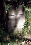 staedtel04.jpg (71941 Byte)