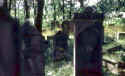 staedtel05.jpg (50261 Byte)