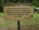 Geroda Friedhof 132.jpg (80595 Byte)