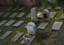 Cham Friedhof 257.jpg (76183 Byte)