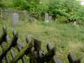 Lieser Friedhof 104.jpg (126915 Byte)