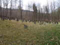 Kleinheubach Friedhof 162.jpg (109126 Byte)