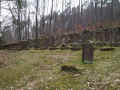 Kleinheubach Friedhof 167.jpg (114266 Byte)