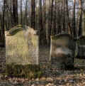 Laibach Friedhof 800.jpg (80307 Byte)