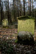 Laibach Friedhof 801.jpg (73251 Byte)