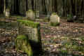 Laibach Friedhof 804.jpg (94446 Byte)