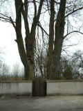 Pflaumloch Friedhof 200801.jpg (89321 Byte)