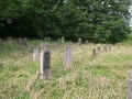 Guxhagen Friedhof 153.jpg (125645 Byte)