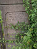 Niedenstein Friedhof 151.jpg (106396 Byte)