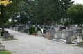 Bern Friedhof 0910.jpg (112512 Byte)
