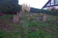 Fell Friedhof 178.jpg (129999 Byte)