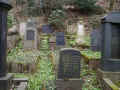 Heidelberg Friedhof 209116.jpg (120482 Byte)