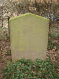 Weingarten Friedhof 917.jpg (109717 Byte)