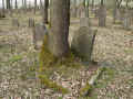 Weyhers Friedhofs 194.jpg (148139 Byte)