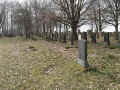 Weyhers Friedhofs 202.jpg (154249 Byte)