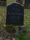 Simmern Friedhof 320.jpg (117222 Byte)
