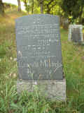 Rheinboellen Friedhof 187.jpg (110590 Byte)