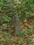 Runkel Friedhof 177.jpg (103836 Byte)