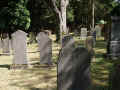 Montabaur Friedhof 272.jpg (111384 Byte)