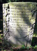 Emden Friedhof n302.jpg (113624 Byte)