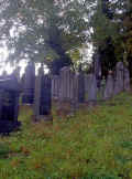 Heidingsfeld Friedhof 174.jpg (93666 Byte)
