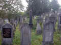 Heidingsfeld Friedhof 243.jpg (83240 Byte)