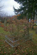 Bullay Friedhof 193.jpg (132919 Byte)