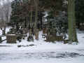 Ulm Friedhof 2010121.jpg (104466 Byte)