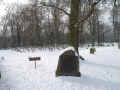 Berlichingen Friedhof 2010005.jpg (105704 Byte)