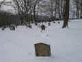 Berlichingen Friedhof 2010010.jpg (82884 Byte)