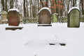 Rhens Friedhof 120.jpg (88505 Byte)
