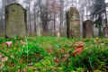 Rhens Friedhof 142.jpg (160381 Byte)
