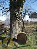 Frankenberg Friedhof 488.jpg (136177 Byte)