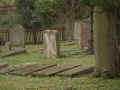 Fritzlar Friedhof 486.jpg (103383 Byte)