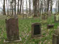 Haarhausen Friedhof 477.jpg (114797 Byte)