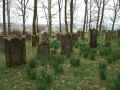 Haarhausen Friedhof 490.jpg (116018 Byte)