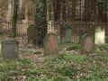 Kronberg Friedhof 476.jpg (120557 Byte)