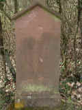 Usingen Friedhof 486.jpg (94393 Byte)