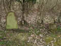 Usingen Friedhof 487.jpg (141448 Byte)