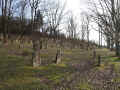 Affaltrach Friedhof 372.jpg (132013 Byte)