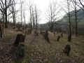 Affaltrach Friedhof 383.jpg (125203 Byte)