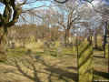 Varel Friedhof 220a.jpg (98166 Byte)