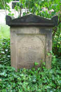 Frankenthal Friedhof a178.jpg (114453 Byte)
