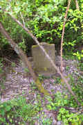 Zeltingen Friedhof 175.jpg (193787 Byte)