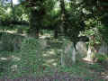 Alsenz Friedhof 186.jpg (128675 Byte)