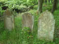 Teschenmoschel Friedhof 179.jpg (121342 Byte)