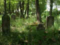 Teschenmoschel Friedhof 180.jpg (126257 Byte)