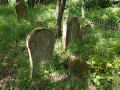 Teschenmoschel Friedhof 182.jpg (130243 Byte)