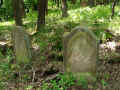 Teschenmoschel Friedhof 192.jpg (133310 Byte)