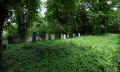 Eberswalde Friedhof 192.jpg (167765 Byte)